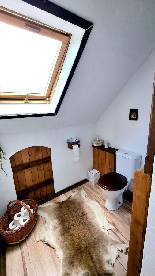 Premyslovsky Dvur Appartement Slezske Pavlovice Buitenkant foto